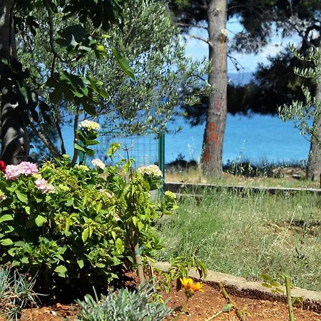 By The Sea Tkon, Pasman - 698 *