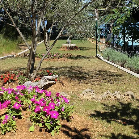 Daire By The Sea Tkon, Pasman - 698